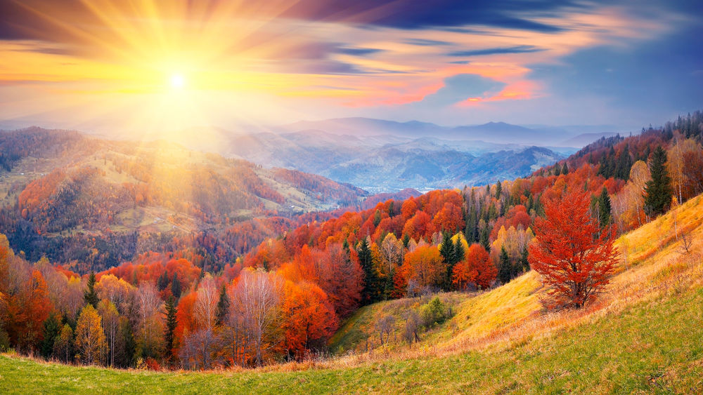 Обои для рабочего стола Деревья с осенней ярко-красной  и желтой листвой в лучах солнца на фоне горного массива