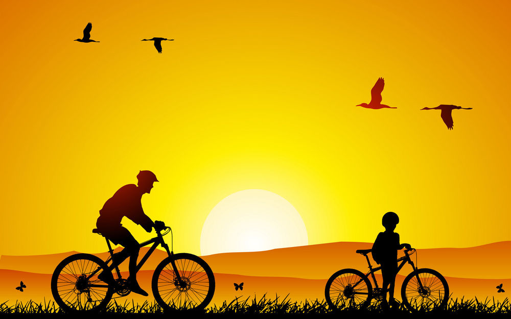 Обои для рабочего стола Велосипедная прогулка отца и сына по траве на фоне заходящего яркого солнца и летящих в небе птиц