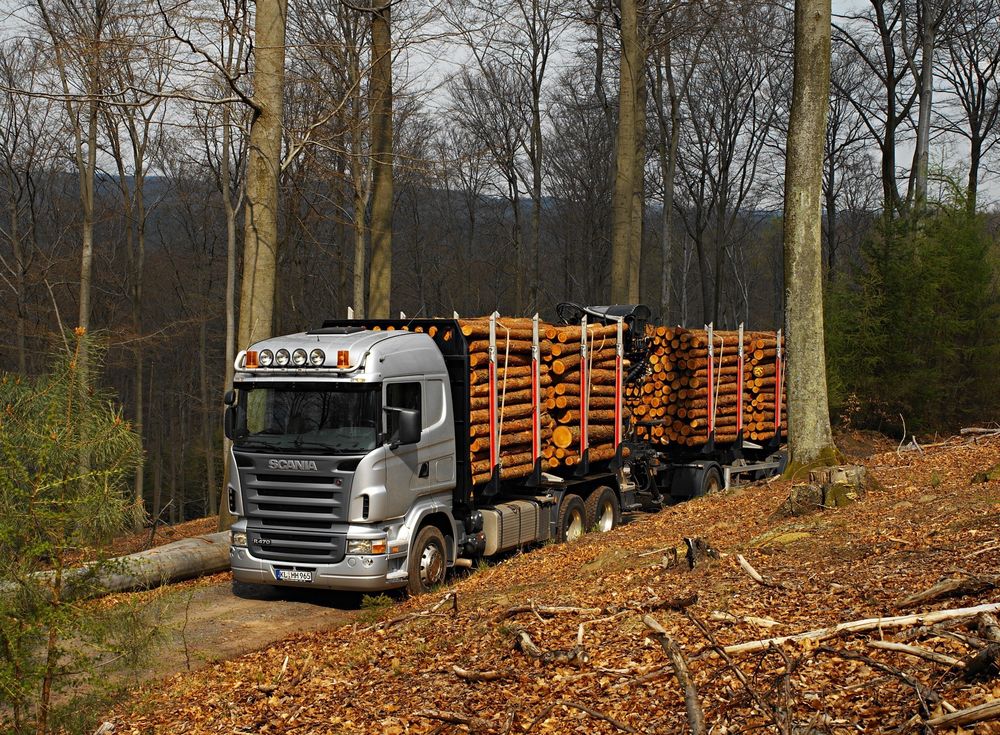 Обои для рабочего стола Грузовой автомобиль-лесовоз Скания, Швеция / Scania, Sweden с прицепом, нагруженным лесом, двигается по дороге, усыпанной осенними листьями, на фоне пасмурного неба