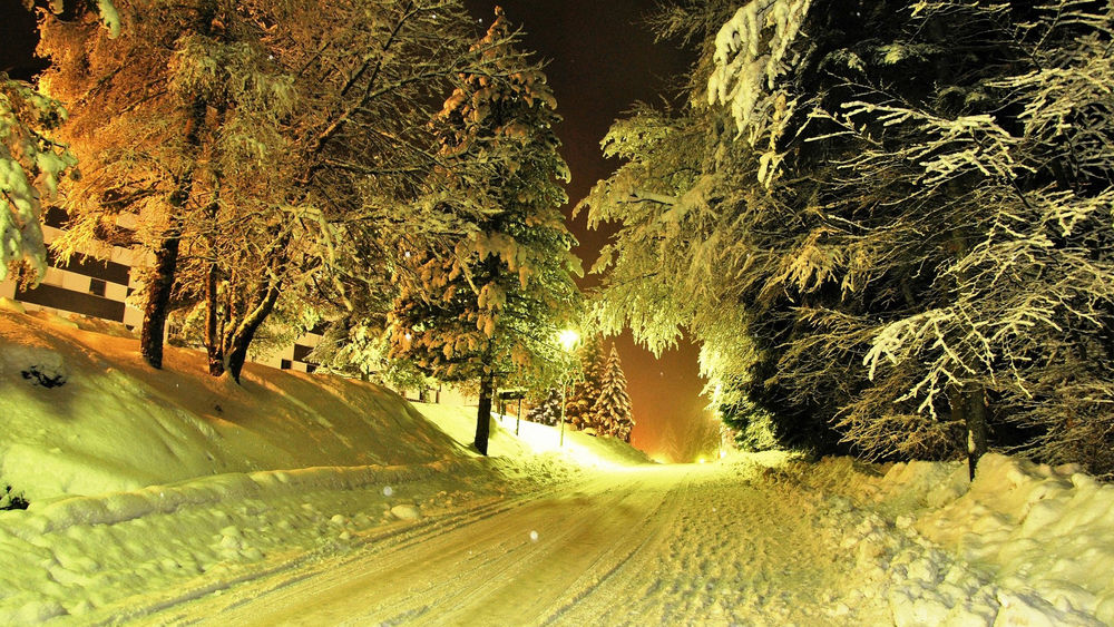 Обои для рабочего стола Подсвечеченная фонарями ночная широкая дорожка и снег,  гроздьями лежащий на ветках деревьев