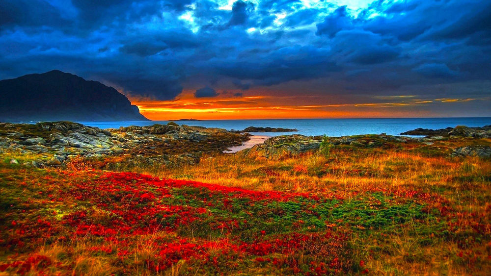 Цветущее Море Фото