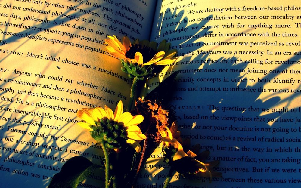 Обои для рабочего стола Цветы лежат на раскрытой книге