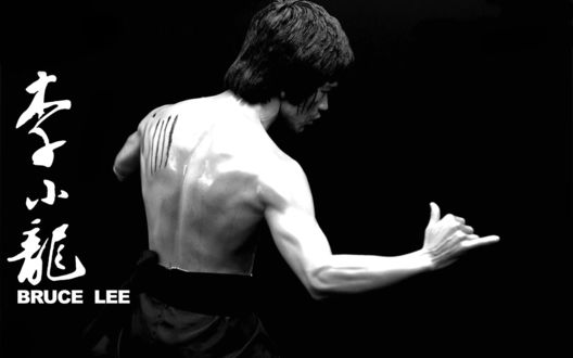 Обои на рабочий стол Мастер боевых искусств и актер Брюс Ли /  Bruce Lee