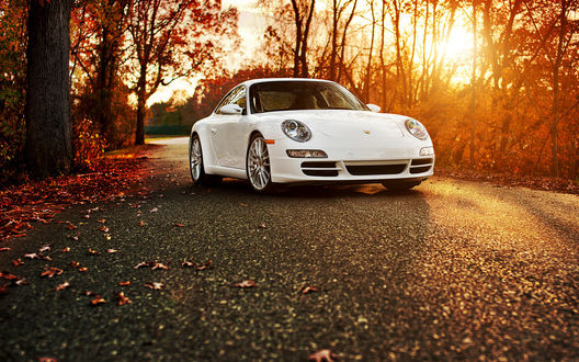 Обои на рабочий стол Белый Порше 911 / Porsche 911 в осеннем лесу