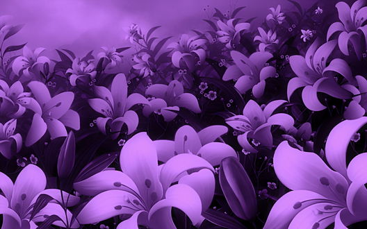 Обои на рабочий стол Цветущие лилии в сиреневых тонах