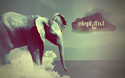 Обои на рабочий стол Слон в небе на туче (elephant / слон)