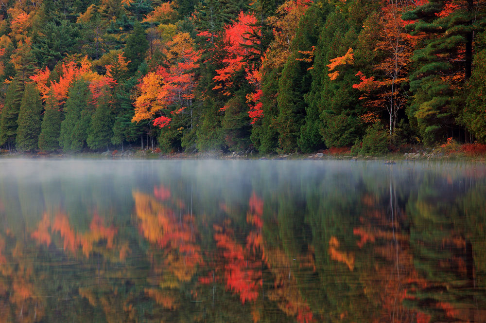 Обои для рабочего стола Осенний лес с елями, расположившийся на берегах озера, в котором отражается красота осеннего пейзажа