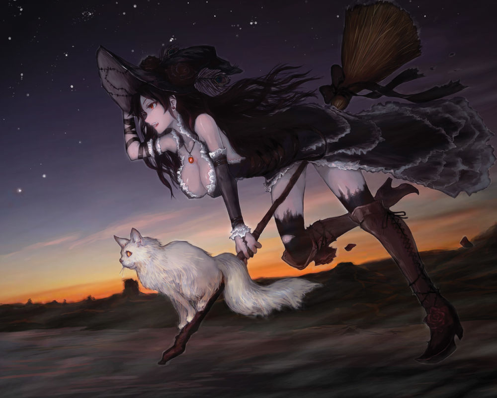 Обои для рабочего стола Девушка-ведьма летит с кошкой на метле