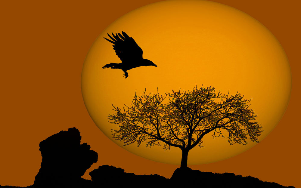 Обои для рабочего стола Силуэт летящего ворона на фоне солнца над одиноким деревом на утёсе