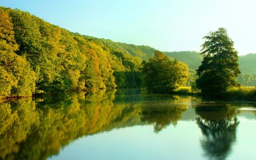 Обои на рабочий стол Густой лес отражается в водной глади реки