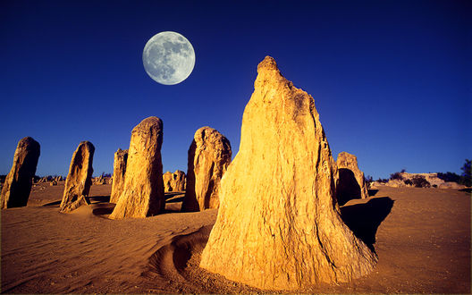 Обои на рабочий стол Известковые раковины моллюсков в пустыне Пиннакле, Национальный парк Намбунг, Западная Австралия / Pinnacles, Nambung, Western Australia