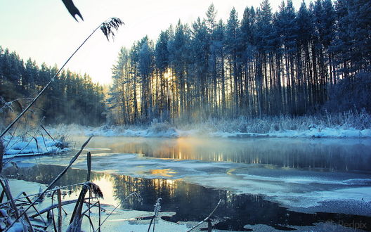 Обои на рабочий стол Почти замерзшая река на краю леса, от воды идет пар