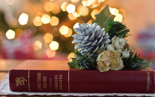 Обои на рабочий стол Книга Черльза Дикенса / Charles Dickens на которой лежит новогоднее украшение из цветков и шишки