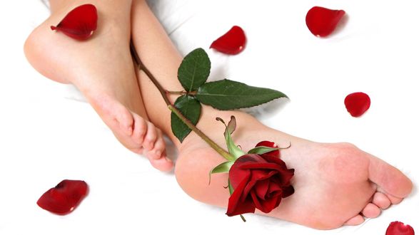 Роза и красивые ножки модели