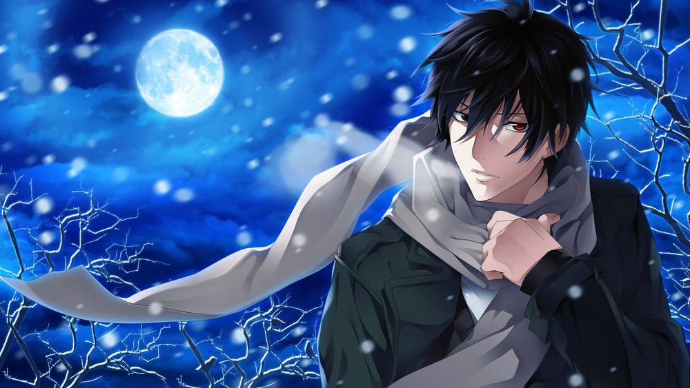 Обои для рабочего стола Saitou Yakumo / Сайто Якумо из аниме Мистический детектив Якумо / Shinrei Tantei Yakumo / Psychic Detective Yakumo на фоне ночного снежного неба