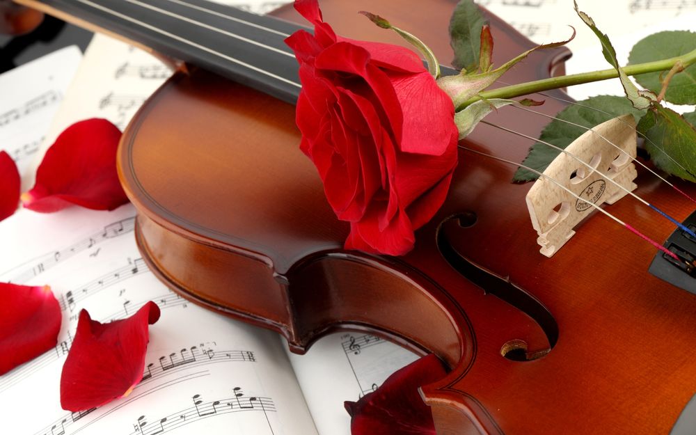 Обои для рабочего стола Скрипка, лежащая на нотной тетради, цветок и лепестки красной розы с зелеными листьями