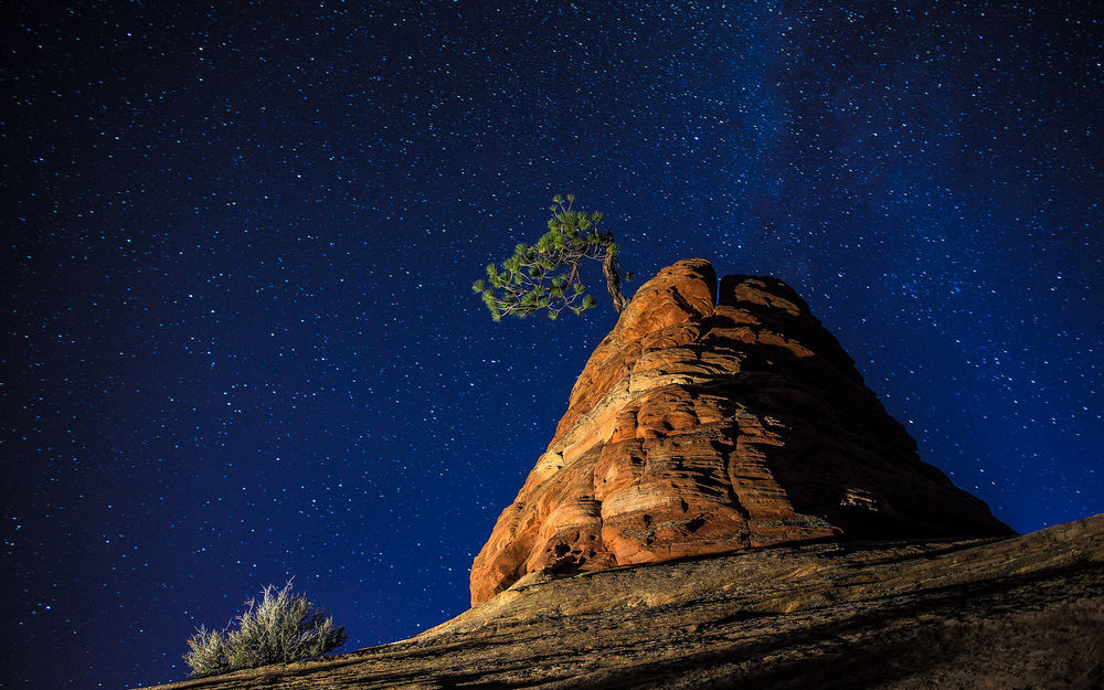 Обои для рабочего стола Одинокое дерево, растущее на красивой скале, на фоне звездного, ночного неба