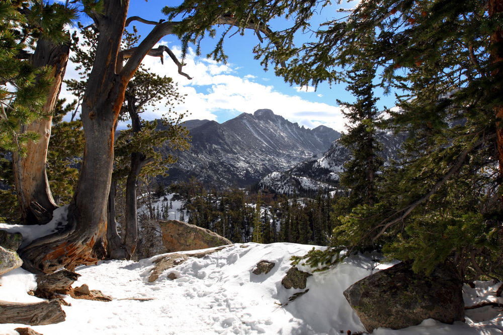 Обои для рабочего стола Национальный парк 'Rocky Mountain National Park' штат Колорадо, США / Colorado, USA зимой в снегу