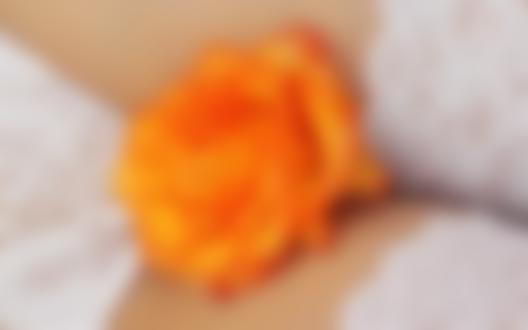 Обои для рабочего стола Цветок оранжевой розы лежит на женском теле, одетом в кружевные трусики и белые чулки