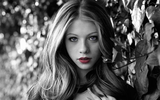 Обои на рабочий стол Мишель Tрахтенберг / Michelle Trachtenberg
