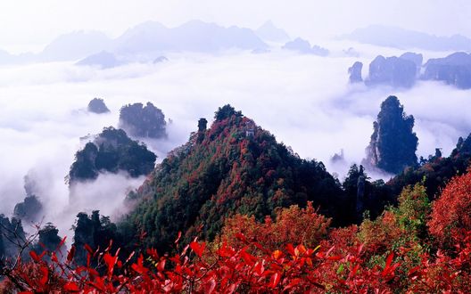 Обои на рабочий стол Национальный лесной парк, Китай / China