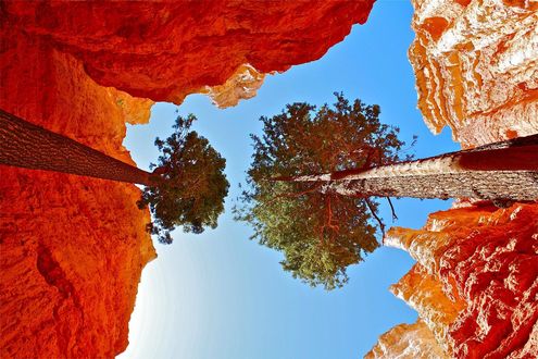Обои на рабочий стол Bryce Canyon, National Park, USA / Брайс-Каньоон, национальный парк, США