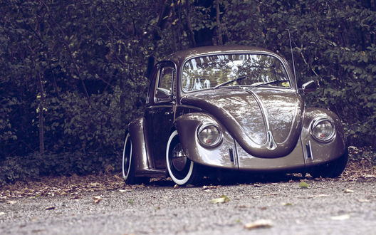 Обои на рабочий стол Серый Volkswagen Beetle / Фольксваген Жук среди деревьев