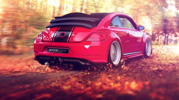 Обои на рабочий стол Красный кабриолет Volkswagen Beetle / Фольксваген Жук мчится по дороге, усыпанной осенними листьями
