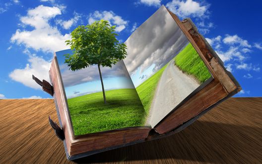 Обои на рабочий стол Книга с изображением зелёной травы, дороги и выходящим из неё дерево