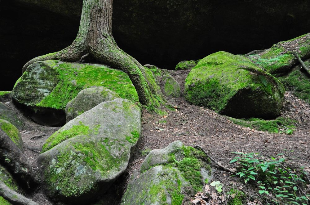 Обои для рабочего стола Пещера Old Man's Cave, Hocking Hills State Park, Ohio / Огайо