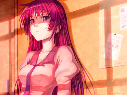 Обои на рабочий стол Senjougahara Hitagi / Хитаги Сэндзегахара из аниме ''Bakemonogatari / Истории монстров''