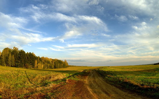 Обои на рабочий стол Дорога в поле, уходящая в даль