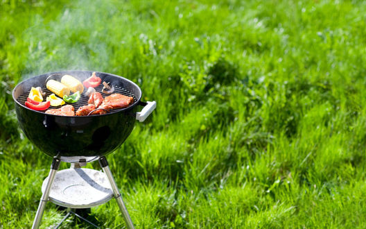 Обои на рабочий стол Зеленая трава, на которой установлен переносной гриль с мясом и овощами