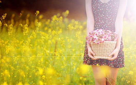 Обои на рабочий стол Девушка держит в руках корзину с цветами (Walking in the sun in around and around / Прогулки на солнце вокруг и около)