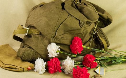 Обои на рабочий стол Пилотка с красной звездочкой, рюкзак, боевая медаль, красные и белые гвоздики - атрибутика для поздравления с Днем Защитника Отечества