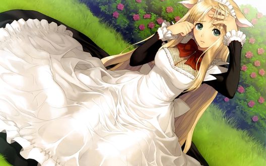 Обои на рабочий стол Fox girl из манги Shining Heart сидит в черно-белом платье на лужайке на фоне цветов, втирая каплю слезы с глаза, art Tony Taka