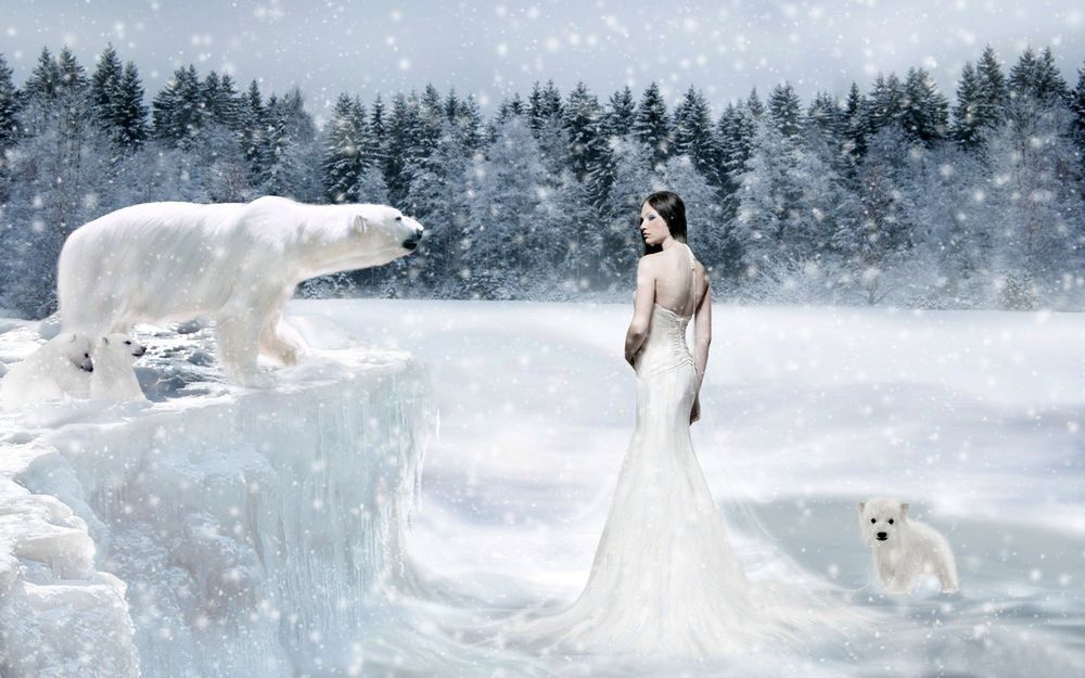 Обои для рабочего стола Девушка с белом платье  в окружении белых медведей возле леса