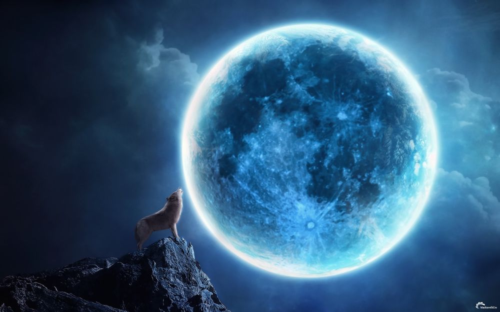 Обои для рабочего стола Волк стоит на верхушке скалы на фоне ночного неба и воет на луну