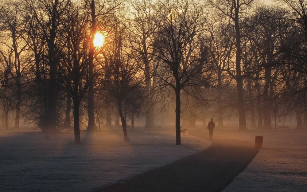 Обои для рабочего стола Мужчина прогуливается с собакой по аллее зимнего туманного парка на фоне заката солнца