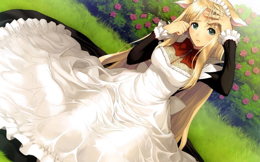 Обои для рабочего стола Fox girl из манги Shining Heart сидит в черно-белом платье на лужайке на фоне цветов, втирая каплю слезы с глаза, art Tony Taka