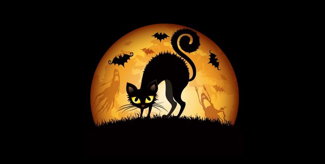 Обои на рабочий стол Хэллоуин / Haloween - черная кошка на фоне луны, где летают летучие мыши и приведения