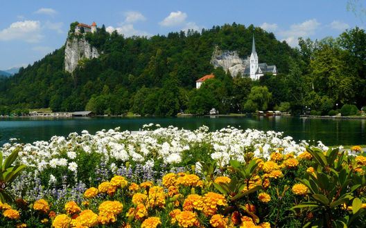 Обои на рабочий стол Бледское озеро, Словения / Lake Bled, Slovenia на фоне цветов и старинных построек