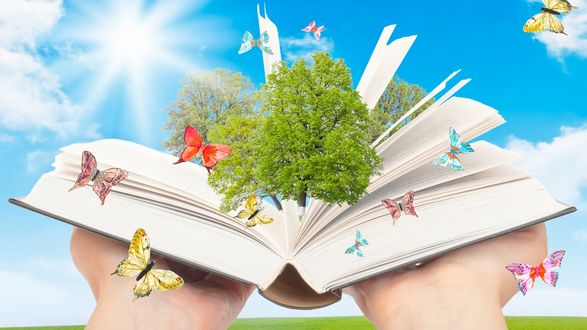 Обои на рабочий стол Открытая книга на руках на фоне солнца и голубого неба, из которой растут деревья и порхают вокруг бабочки