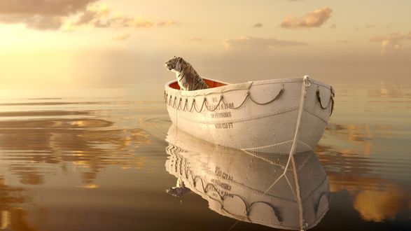 Обои на рабочий стол Тигр сидит в лодке из кинофильма ''Жизнь Пи'' / ''Life of Pi''