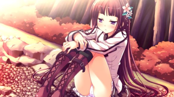 Обои на рабочий стол Tenjo Kikyou сидит на земле на фоне деревьев, из игры Iro ni Ide ni Keri Waga Koi wa