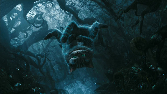 Обои на рабочий стол Чеширский Кот / Cheshire Cat висит вниз головой на дереве из фильма «Алиса в стране чудес» / «Alice in Wonderland»
