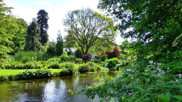 Обои на рабочий стол Mount Usher Gardens / Сады Маунт Ашер, Ирландия / Ireland