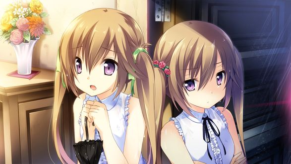 Обои на рабочий стол Сестры близняшки Kazato Asa / Аса Казато и Kazato Yoru / Йору Казато из игры Kono Oozora ni, Tsubasa wo Hirogete