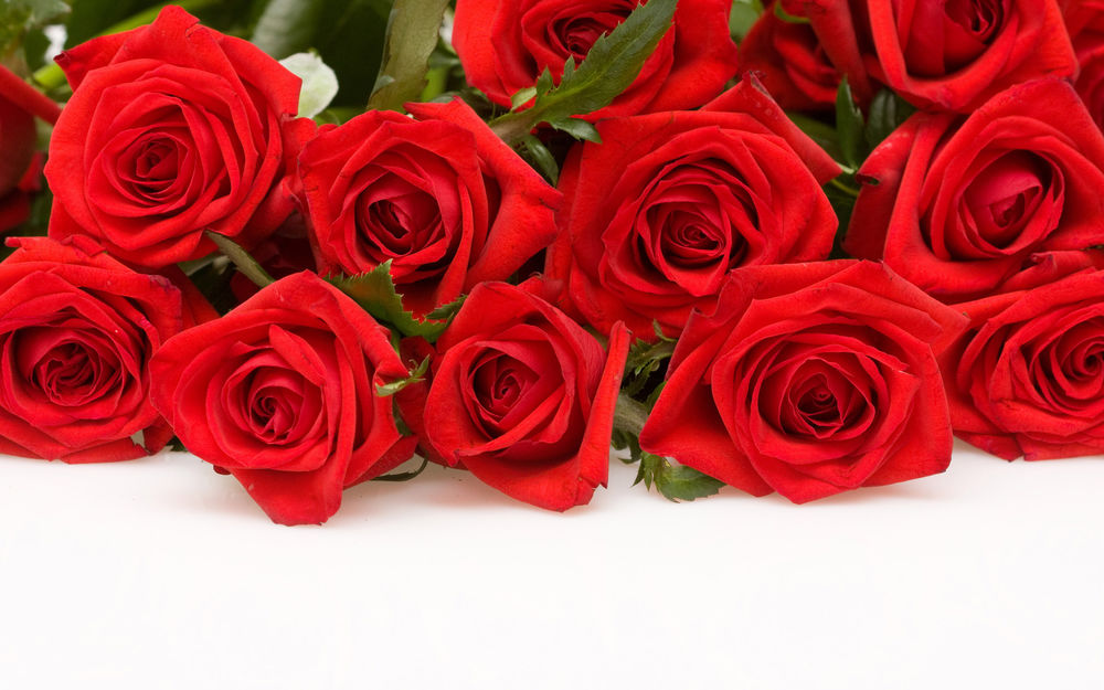 Обои для рабочего стола Бутоны красных роз на белой поверхности