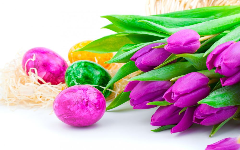 Обои для рабочего стола Сиреневые тюльпаны рядом с разноцветными пасхальными яйцами на опилках